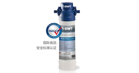 BWT Woda-Pure s超能係列黄瓜视频网址器